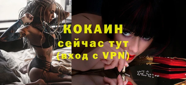 МДПВ Ельня