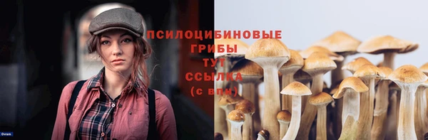 таблы Елабуга