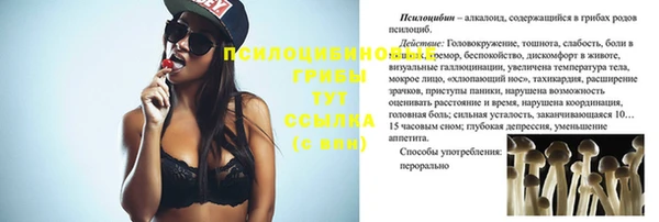 МДПВ Ельня