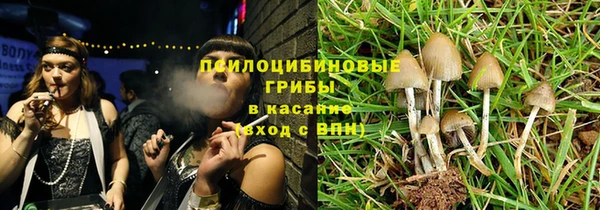 МДПВ Ельня