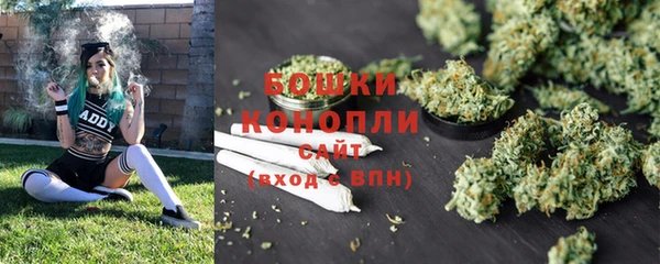 МДПВ Ельня
