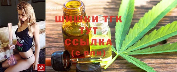 МДПВ Ельня