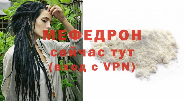 МДПВ Ельня