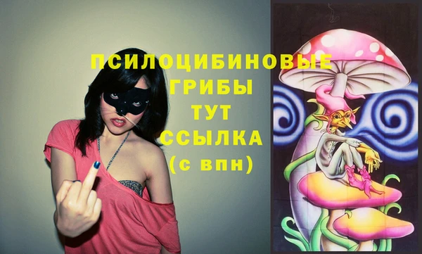 МДПВ Ельня