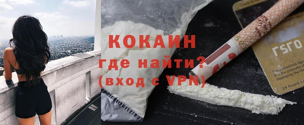 МДПВ Ельня